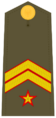 Ejerespadivi12