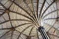 Fanning Ribbed Arch (89754701)
