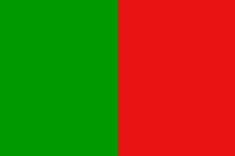 Flag of Terni (City)