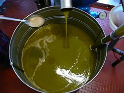 Archivo:Fresh Olive Oil, Olio d'Oliva Novello, frisches Oliven Oel 2008