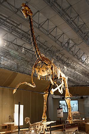 Archivo:Gigantoraptor
