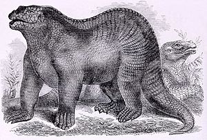 Archivo:Goodrich Iguanodon