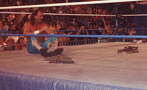 Archivo:Jake "The Snake" Roberts