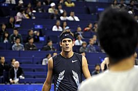 Archivo:Juan Martin del Potro against Novak Djokovic at the 2008 Tennis Masters Cup