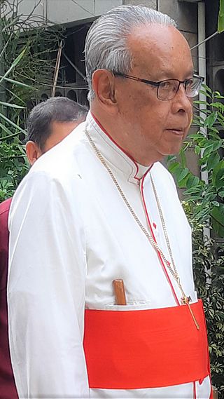 Kardinal Julius Darmaatmadja.jpg