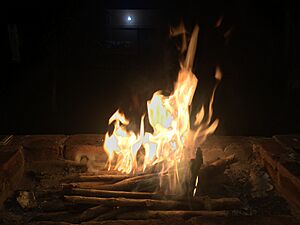 Archivo:Leña en Fuego
