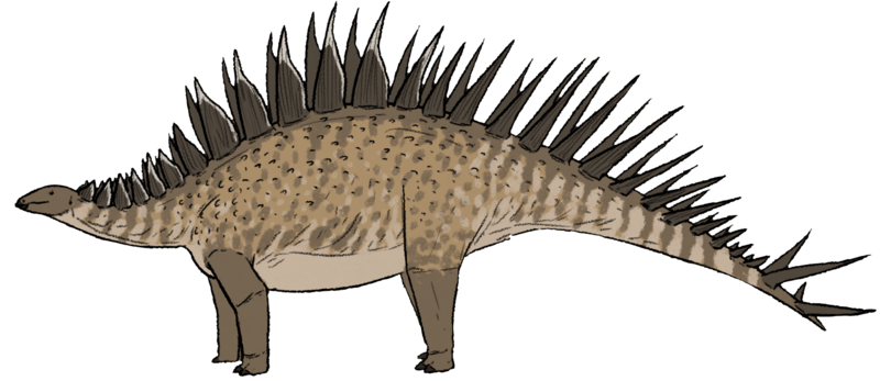 Loricatosaurus priscus