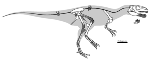 Archivo:Magnosaurus OUMNH J. 12143