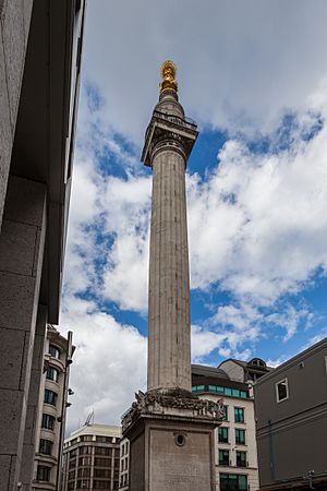 Archivo:Monumento al Gran Incendio de Londres, Londres, Inglaterra, 2014-08-11, DD 151