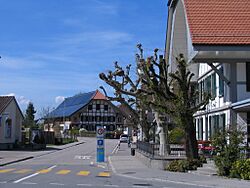 MoosseedorfHofwilstr2014.JPG