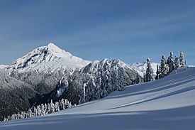 Mount Garibaldi (50997016501).jpg