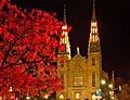 Notre-Dame Catherdral Basilica Ottawa by Louie Luo