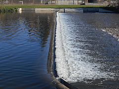 Parc Fluvial del Besòs (3)