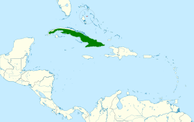 Distribución geográfica del tomeguín del pinar.