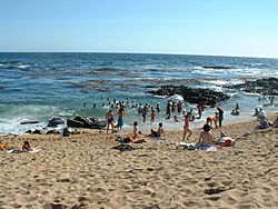 Playa en El Tabo - panoramio.jpg