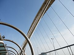 Puente Tercer Milenio Zaragoza 15
