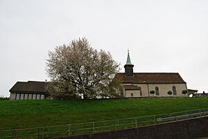 Archivo:Starrkirch-Wil 301