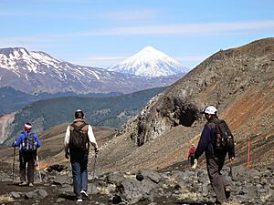 Archivo:Trecking villarrica