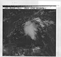 Tropical Depression 1 (1983).jpg