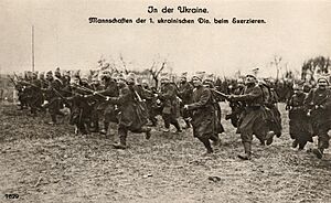 Archivo:Ukrainian-bluecoats-1918
