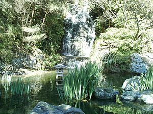 Archivo:WellingtonBotanicGardensPeaceGarden2