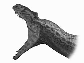 Archivo:Allosaurus Jaws Steveoc86