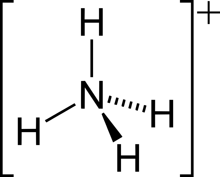 Ammonium-2D