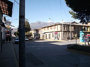 Archivo:Avenida Luzuriaga1