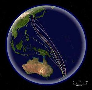 Archivo:Bar-tailed Godwit migration