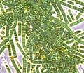 Bluegreen algae