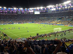 Archivo:Bosnia players at Maracanã 15 June 2014