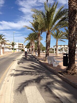 Archivo:Carril bici Pilar de la Horadada - Paseo marítimo