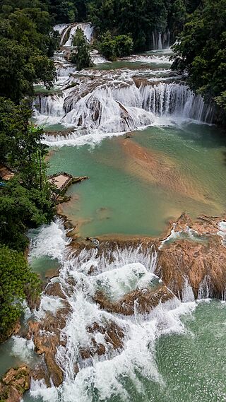 Cascadas de Agua Azul 5.jpg