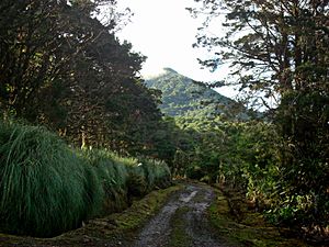 Cerro Zurquí, San Isidro de Heredia.jpg