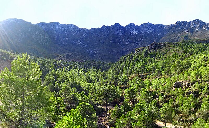Circ de la Safor