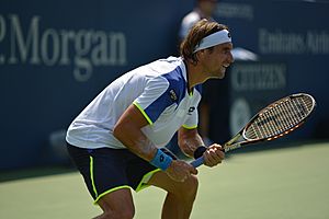 Archivo:David Ferrer US Open 2013 4