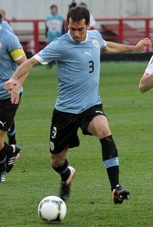 Archivo:Diego Godín