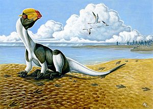 Archivo:Dilophosaurus wetherilli