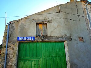 Archivo:Entrada a Torrecilla del Condado