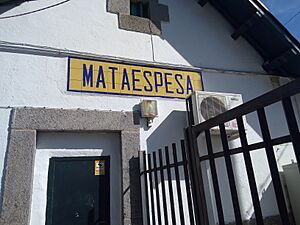 Archivo:Estacion (1)