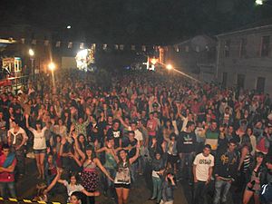 Archivo:FiestasTurcia2012