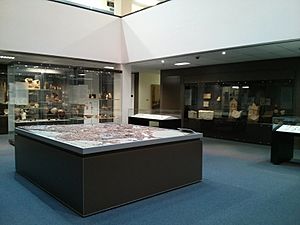 Archivo:Interior of the ANU Classics Museum August 2013