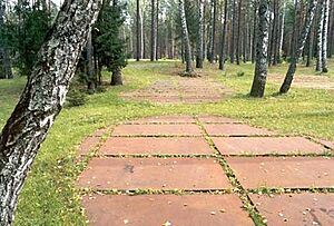 Archivo:KatynPL-kontury