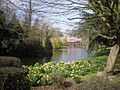 Lake in Ravenscourt Park - geograph.org.uk - 1231556