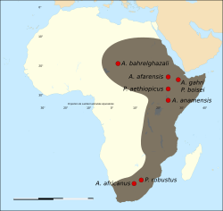 Mapa de situación de diversos yacimientos con Australopithecus.