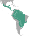 Neotropical Otter area