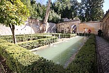 Patio del Ciprés de la Sultana - Generalife (3)