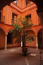 Archivo:Patio interior Casa Palacio Salinas, Málaga