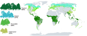 Archivo:Proportion and distribution of global forest area by climatic domain, 2020