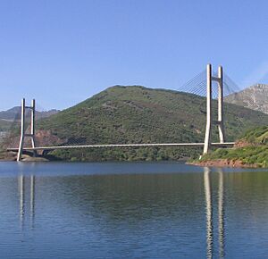 Archivo:Puente Ingeniero Carlos Fernández Casado2